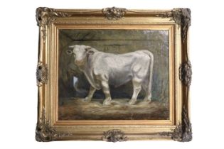 A painterly study of a white bull in a byre looking out to the viewer, standing on a hay strewn