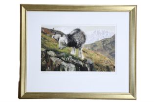 Pat Cleary (Cumbrian, 20th Century) "That's Wetherlam Behind Me", a bold, textured study of Herdwick