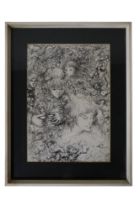 A chaotic, illustrative montage of the visage of a woman and various animals, ink, signed and