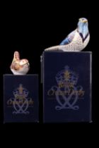 Two Royal Crown Derby bird paperweights comprising 'Wren' and 'Blue Jay', both having gold
