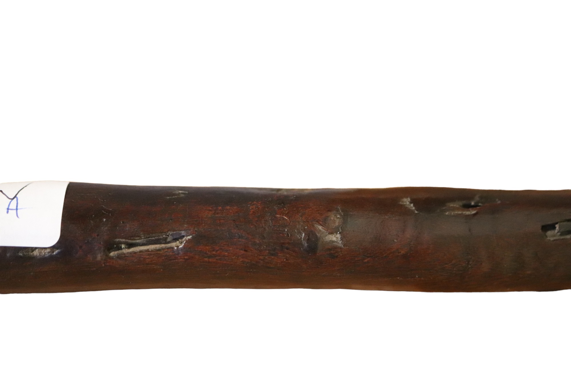 An Australian aboriginal waddy cluck / digging stick, 56 cm - Image 10 of 11