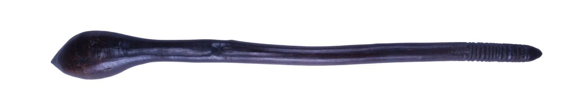 An Australian aboriginal waddy cluck / digging stick, 56 cm
