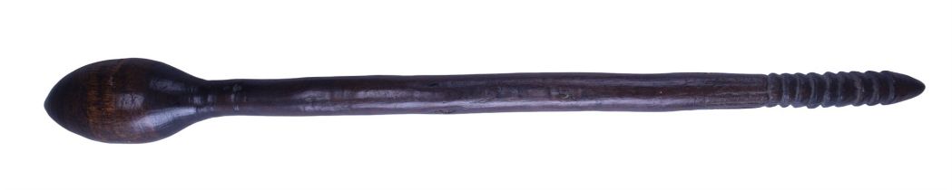 An Australian aboriginal waddy cluck / digging stick, 56 cm