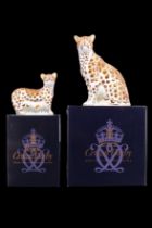 Two Royal Crown Derby leopard paperweights comprising 'Leopard' and 'Leopard Cub', a signature