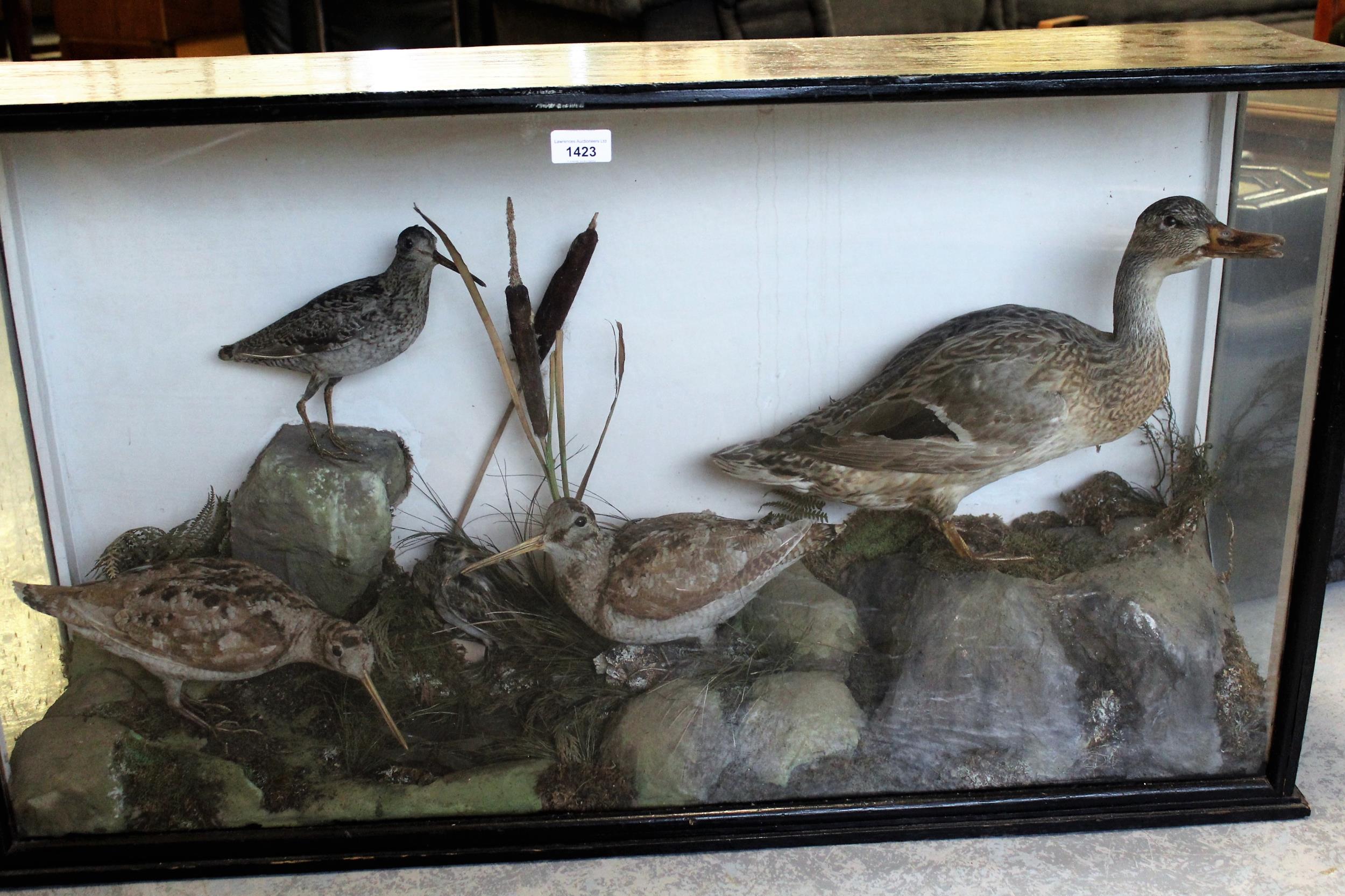 Large cased taxidermy group of wildfowl in naturalistic setting, 58cms high x 104cms wide x 27cms