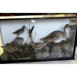 Large cased taxidermy group of wildfowl in naturalistic setting, 58cms high x 104cms wide x 27cms