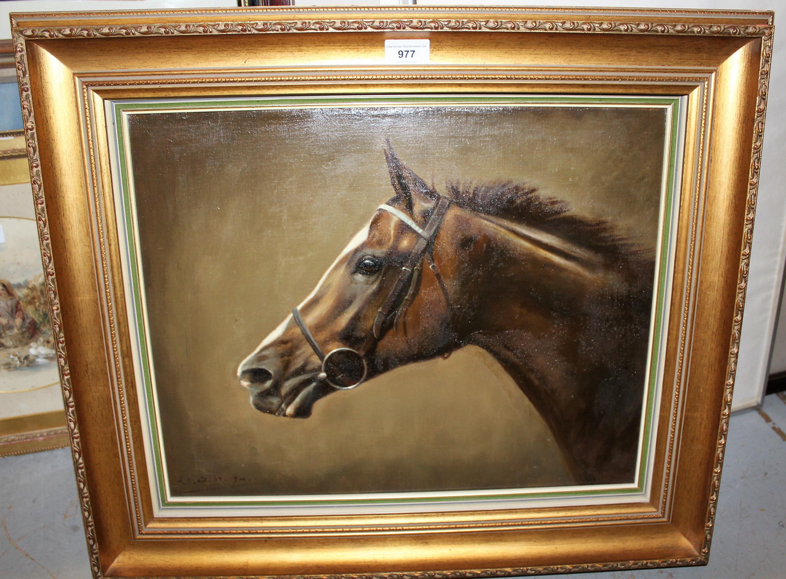 Frank L. Geere, oil on canvas, head study of a horse in bridle, signed and gilt framed, 39cms x 49. - Image 2 of 2