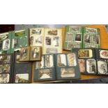 Collection of various early to mid 20th Century British and Continental postcards, housed in seven