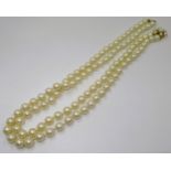 Twin row simulated pearl necklace, with a 9ct gold cultured pearl set clasp