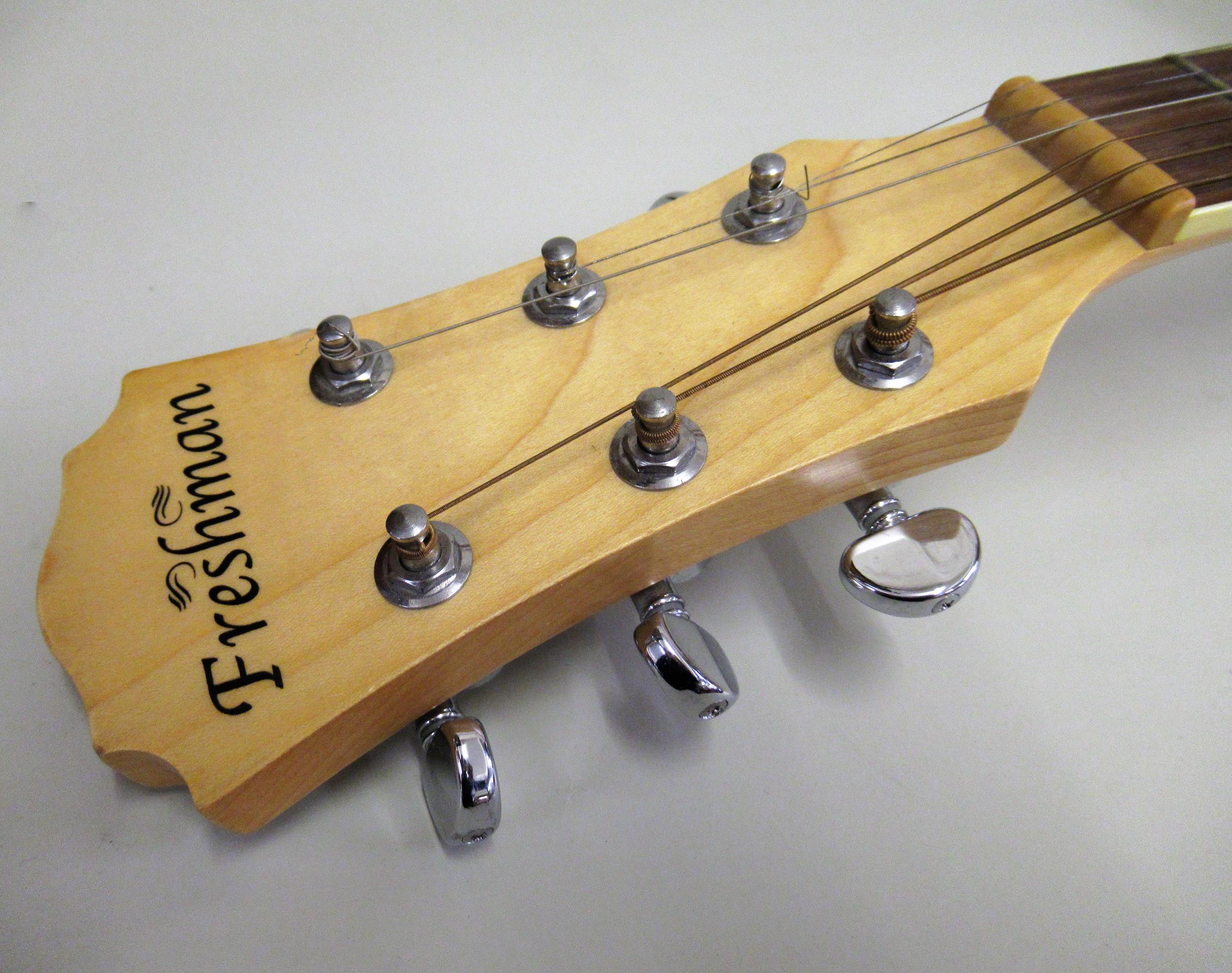 Freshman FA300 Jem/S acoustic guitar, (with damages) - Bild 5 aus 5