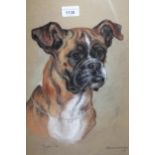 Marjorie Cox, signed pastel drawing, portrait of a boxer dog, 49cms x 23cms