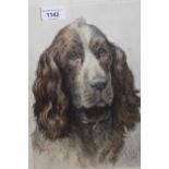 Herbert Dicksee, etching portrait of dog, monogrammed within the plate, 36cms x 29cms