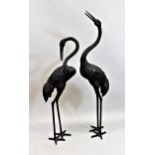 Pair of 20th Century brown patinated bronze figures of cranes, the tallest 138cms high