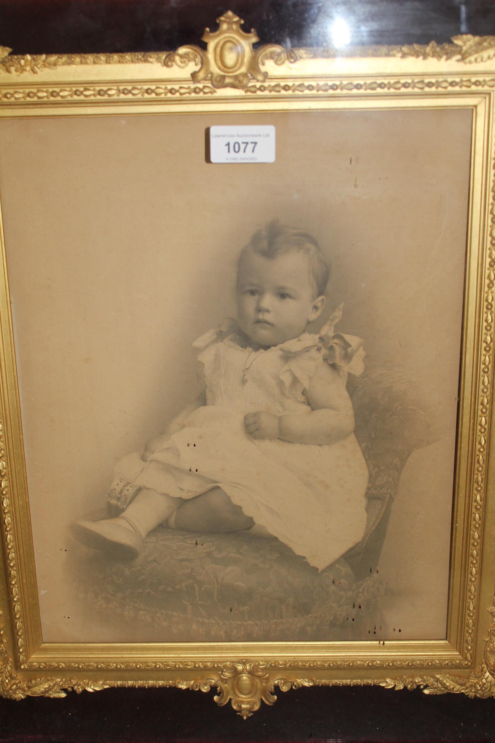 Late 19th / early 20th Century ebonised and gilded composition cabinet frame housing a photograph of