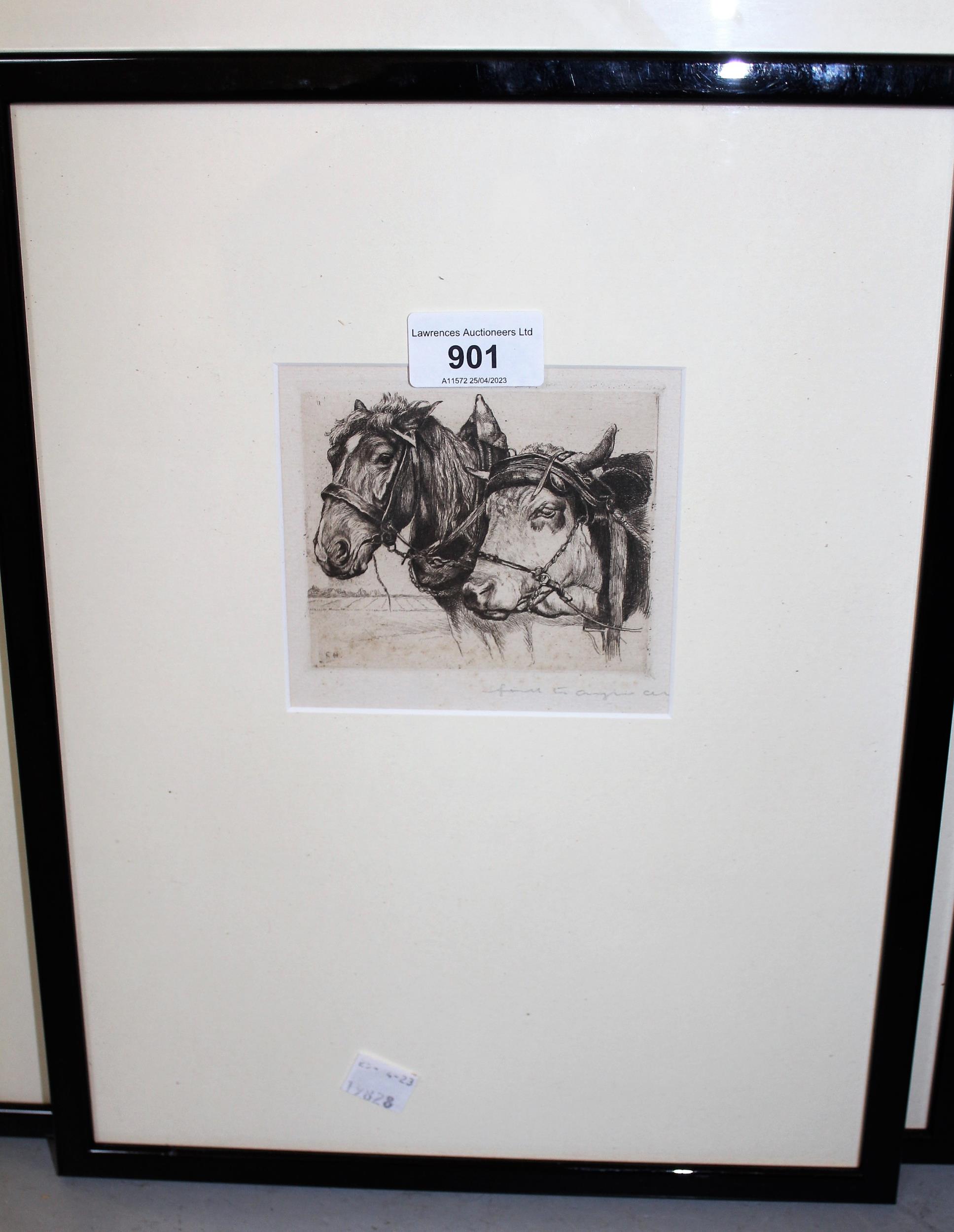 Small artist signed etching, study of head of a horse and ox, signed indistinctly and monogrammed - Image 2 of 2