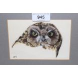 Watercolour and bodycolour, study of an owl, monogrammed A.T., 9cms x 14cms