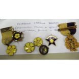 Quantity of Primrose league, enamel decorated medals and badges