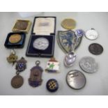 Quantity of rifle related medallions, badges etc.