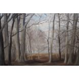 D.H. de Carteret, oil on board, woods at Patching, signed, 40cms x 50cms, framed