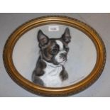 Marion Harvey, signed coloured chalk drawing, portrait of a French bulldog, 25cms x 19cms, oval gilt