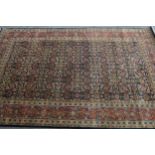 Indo Persian rug with all-over Herati design, on a midnight blue ground with rust ground borders,