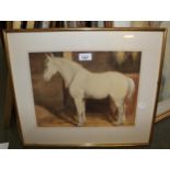 Late 19th / early 20th Century watercolour, study of a white horse in a stable, unsigned, framed,