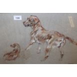 Pastel drawing, study of two dogs, signed M. Gear, 32cm x 50cm