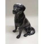 Large Beswick black glazed figure of a seated dog, 35cms high