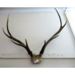Small pair of deer antlers, together with an early 20th Century oak octagonal galleried tray