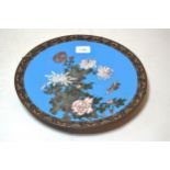 Japanese circular cloisonne wall plate, decorated with a butterfly and flowers, 12ins diameter