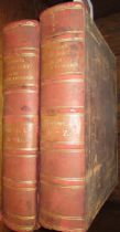 Two leather bound gilt tooled volumes, ' Standard Dictionary of the English Language '