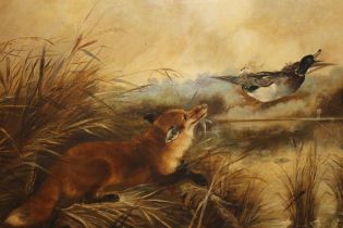 Oil on canvas, study of a fox hunting a duck, signed Raymond, 61 x 91cm, together with an oil on