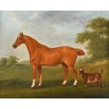 JOHN NOST SARTORIUS (1759-1828). A CHESTNUT HORSE WITH A GOAT IN A FIELD.