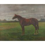 GERALD W TOOBY - OIL PORTRAIT OF A HORSE.