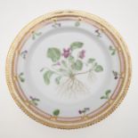 ROYAL COPENHAGEN - FLORA DANICA CABINET PLATE.