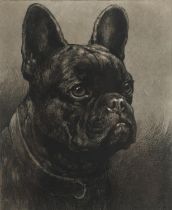 HERBERT DICKSEE (1862-1942). FRENCH BULLDOG.