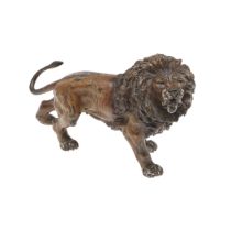 AN AUSTRIAN COLD PAINTED BRONZE OF A LION.