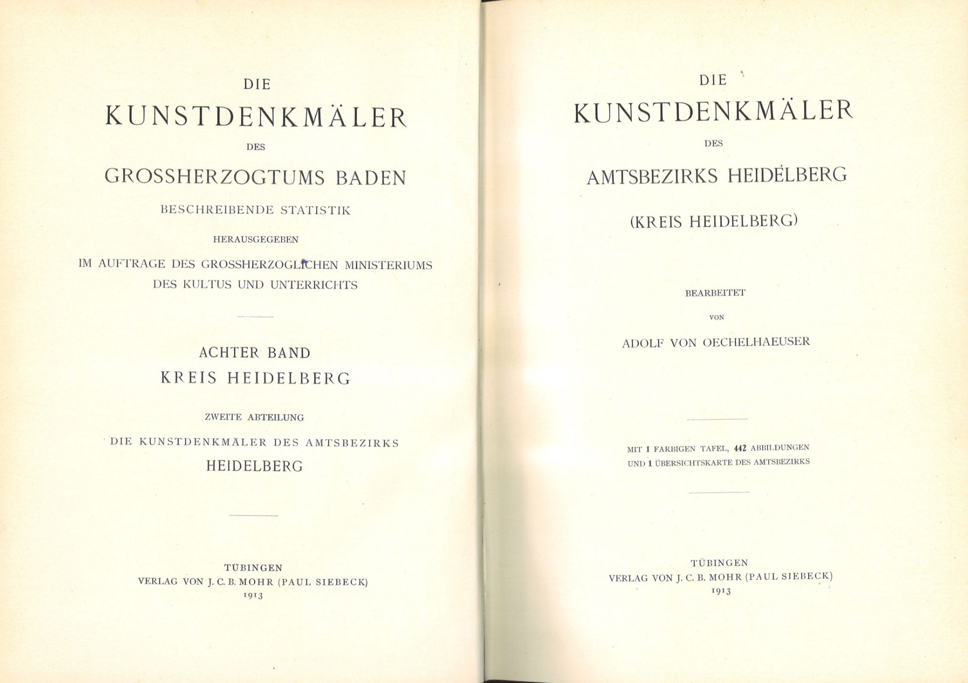 Die Kunstdenkmäler des Grossherzogtums Baden, Amtsbezirk Heidelberg, Kreis Heidelbeg, von Adolf