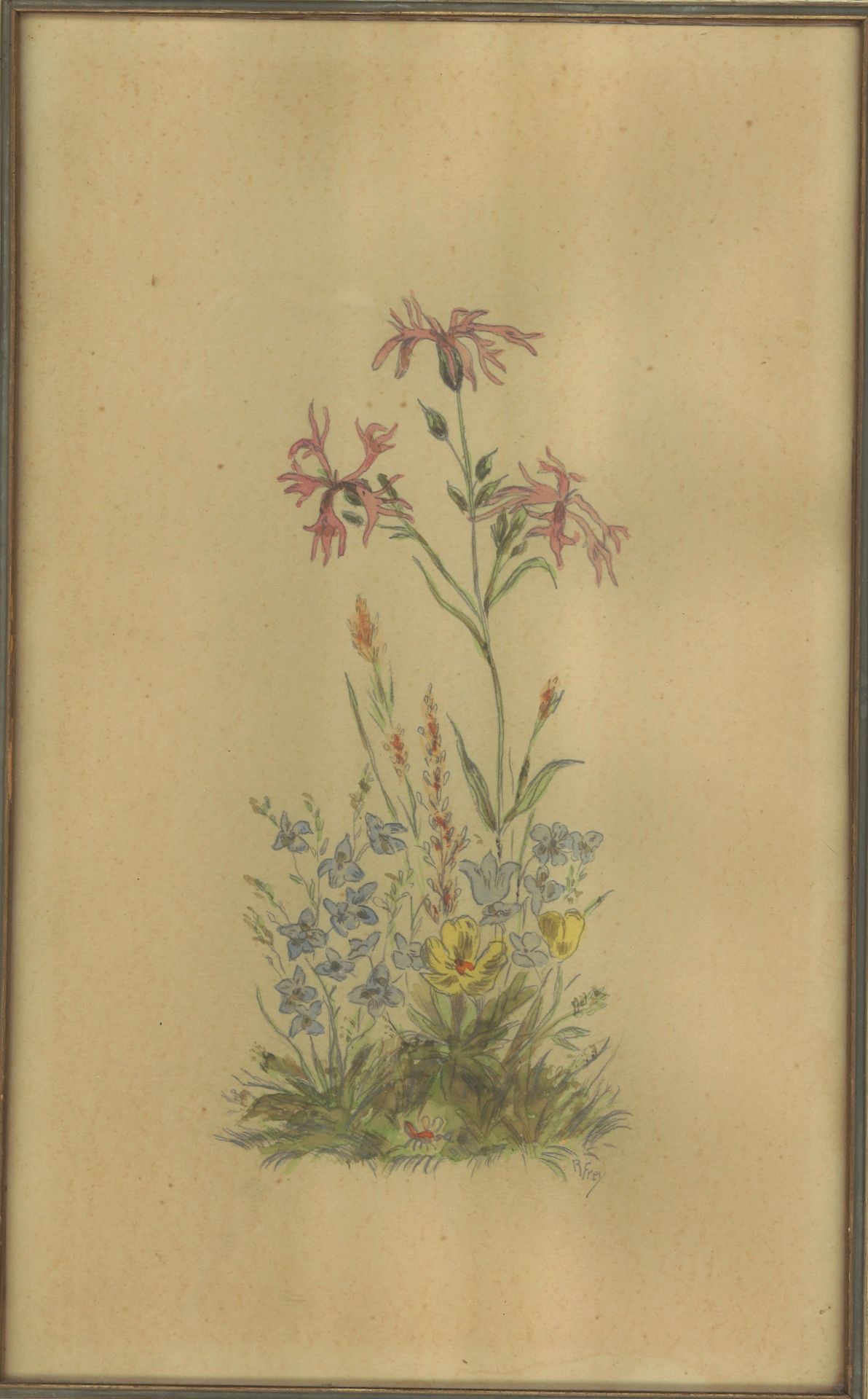 R. Frey Aquarell auf Papier "Blumenstudie" hinter Glas gerahmt. Gesamtmaße: Höhe ca. 33 cm, Breite