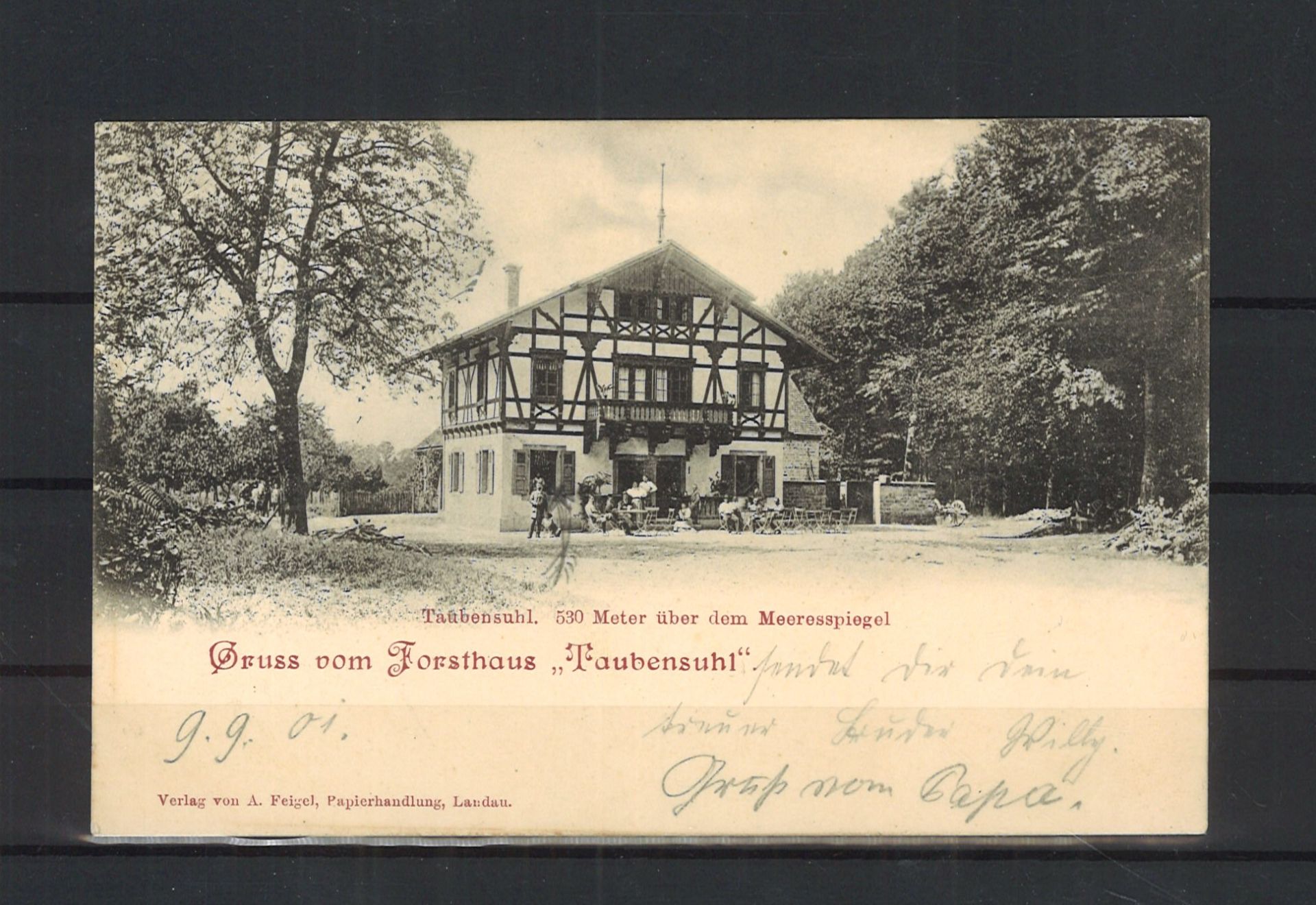 Ansichtskarte "Gruss vom Forsthaus Taubensuhl", gelaufen