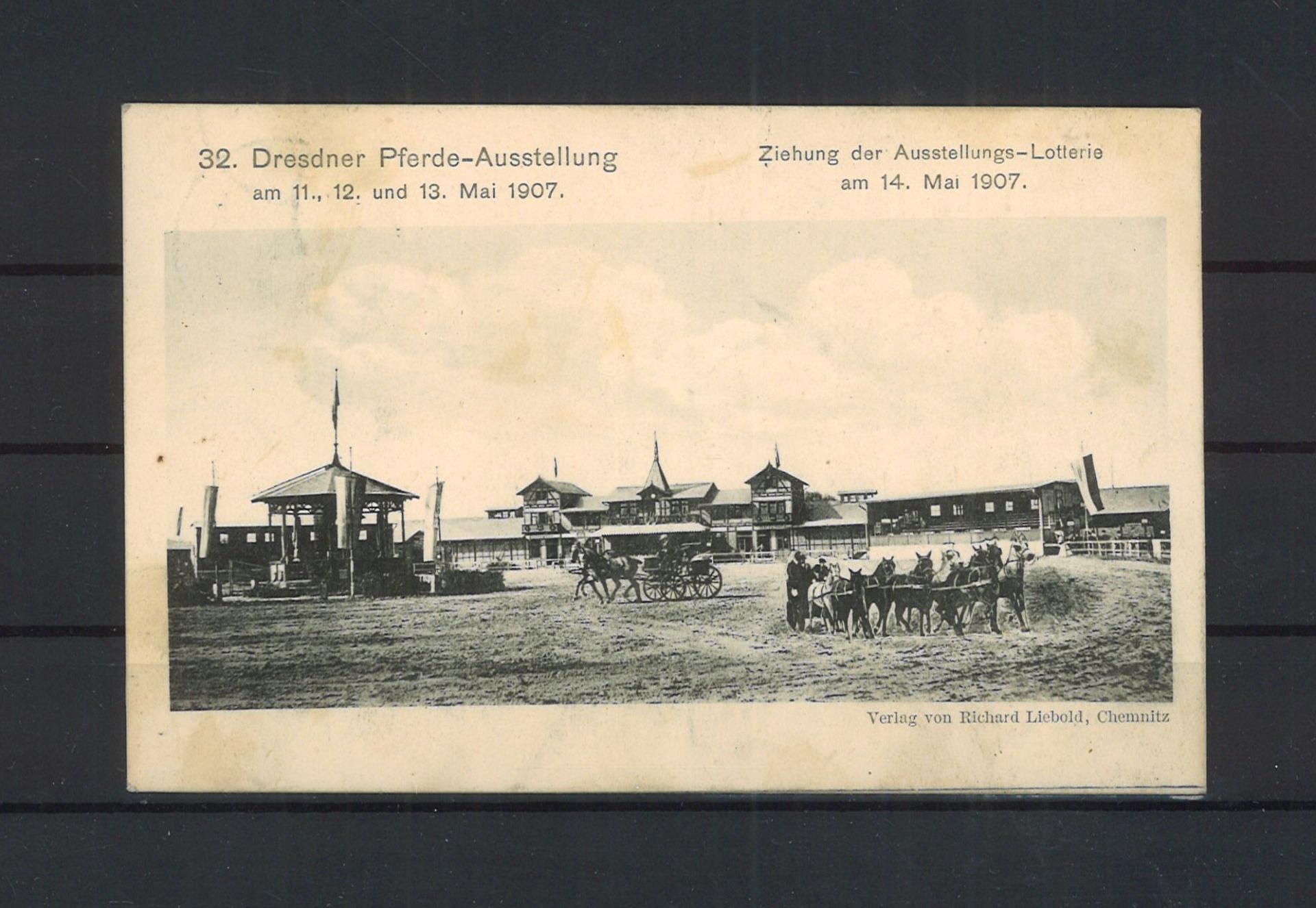 Postkarte "32. Dresdner Pferde-Ausstellung am 11., 12. und 13. Mai 1907" Verlag Richard Liebold,