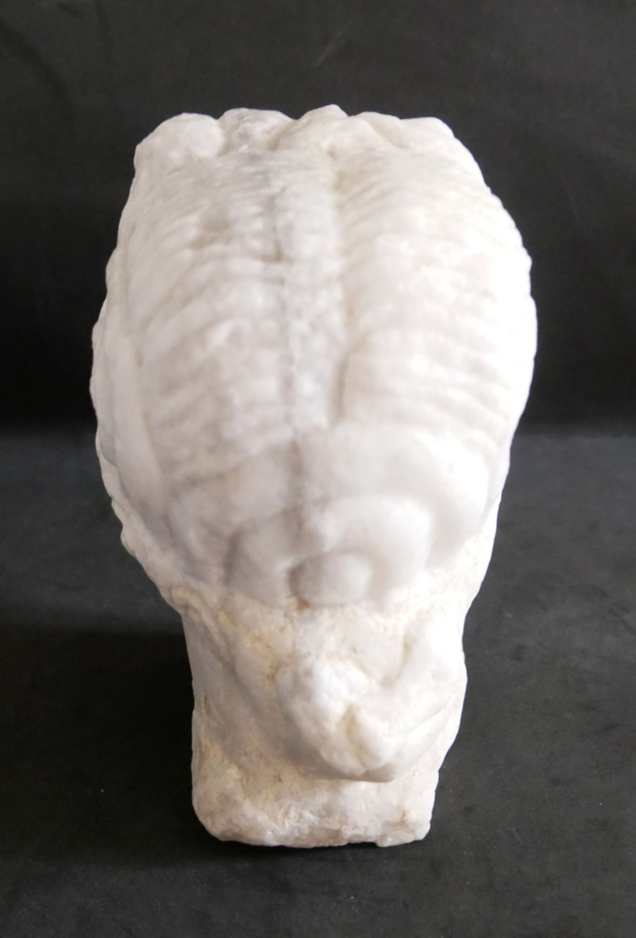 Kopf eines Bärtigen. Römische Kaiserzeit, 1.-3. Jh. n. Chr. Weißer, feinkristalliner Marmor. Kopf - Bild 3 aus 3