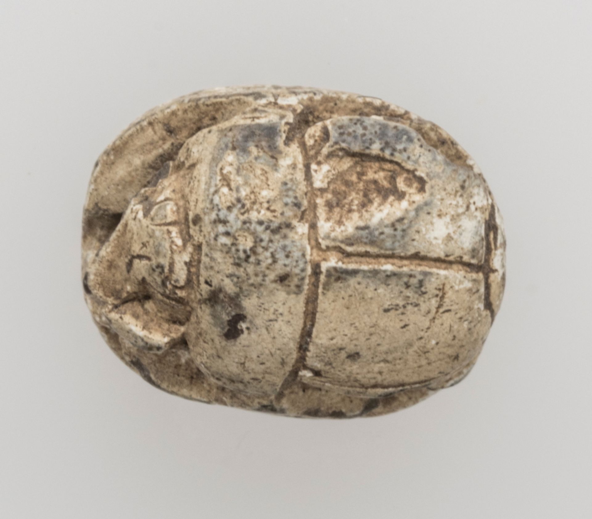Ägypten Skarabäus, Tehutmes III.. Material: Steatit. Oberseite schematische Darstellung eines