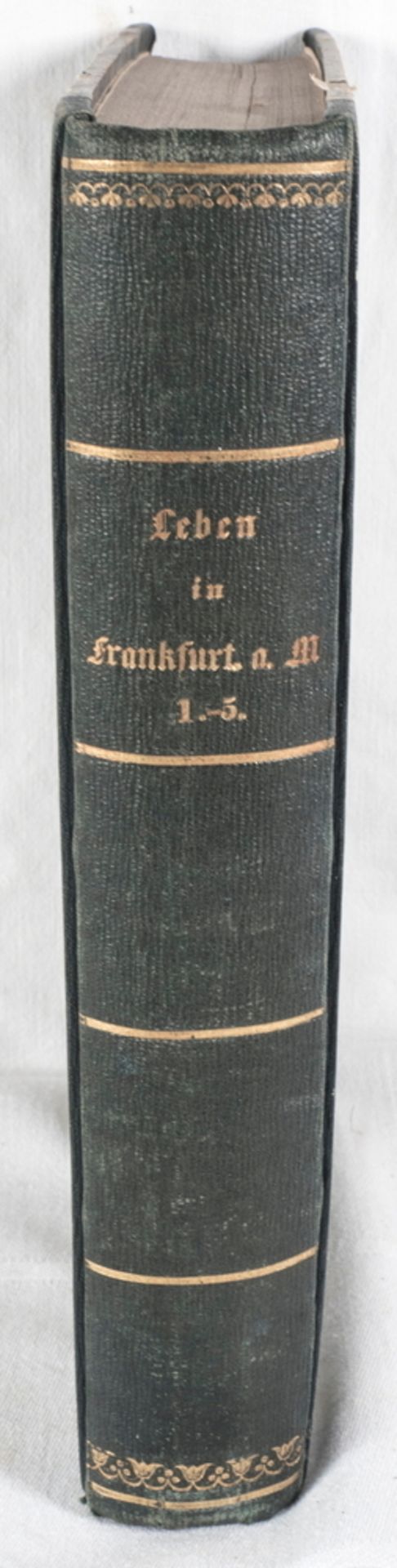 Maria Belli, "Leben in Frankfurt am Main", Auszüge der Frag - und Anzeigungsnachrichten (des
