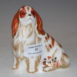A ROYAL CROWN DERBY CAVALIER KING CHARLES SPANIEL FIGURE WITH GOLD COLOURED BUTTON