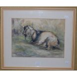 HOPE K. RITCHIE (FL.1920-1939) BILLIE GOAT, WATERCOLOUR, SIGNED AND DATED 1925 LOWER LEFT, 25CM X