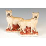 A pair of 19th century Staffordshire pottery pug dogs, modelled standing on naturalistic bases, 23cm