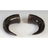 A pair of horns, approximately 26cm long