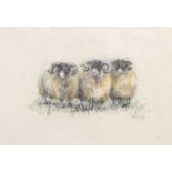ARR AR Gillian M. Wilson Three Tups and Tup two charcoal and pastel, both signed lower right and