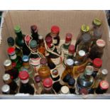 A box of various liqueurs and other miniatures